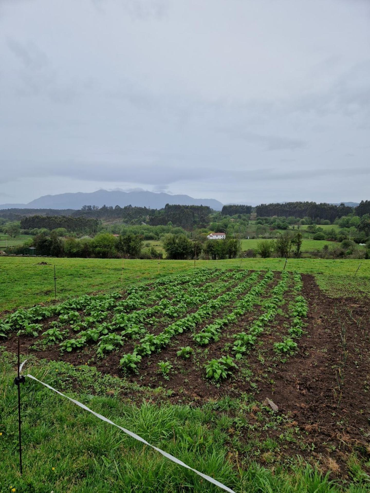 El Piensu Agroturismo